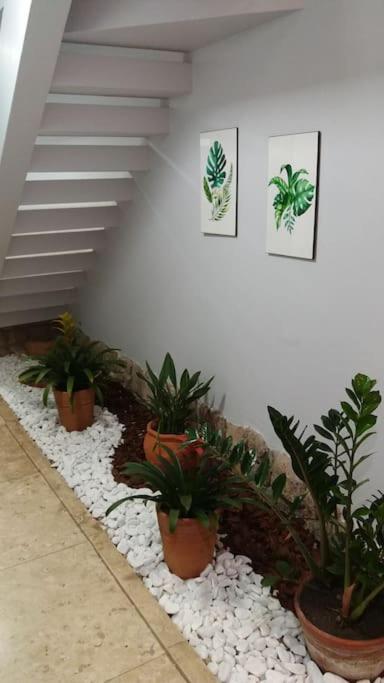 Linda Casa No Centro Historico Holiday home Sao Joao del Rei