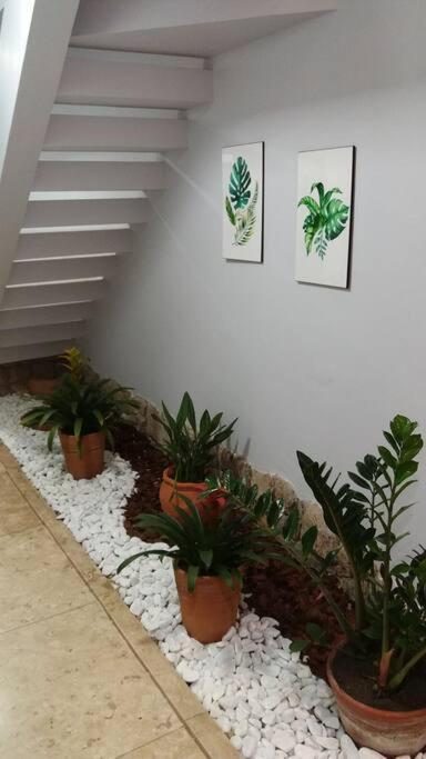 Casa de Férias Linda Casa No Centro Historico