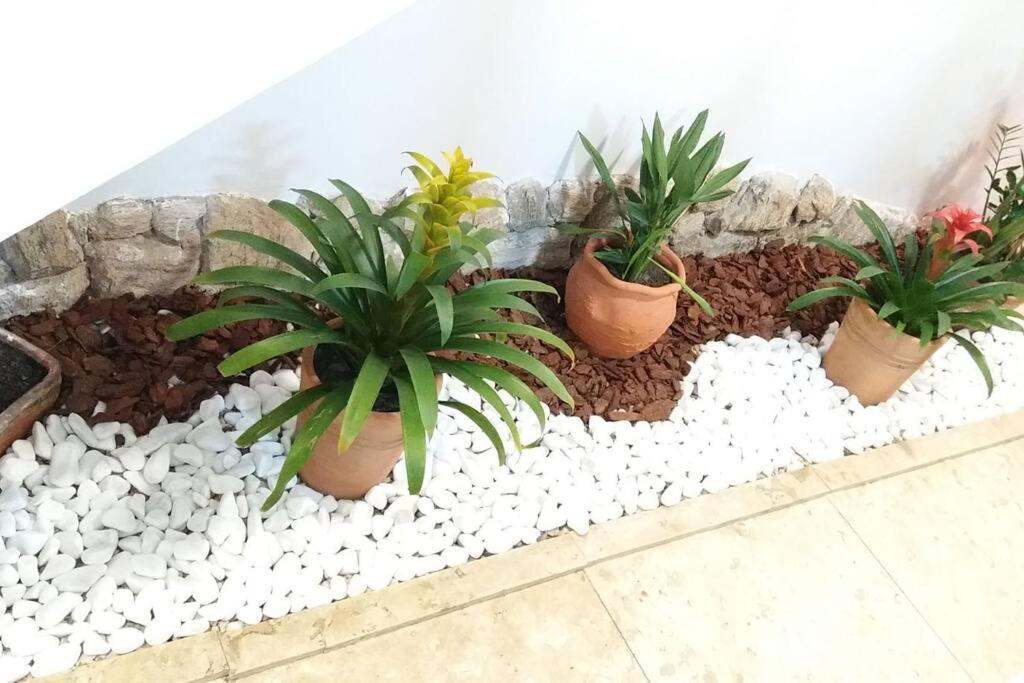 Linda Casa No Centro Historico *